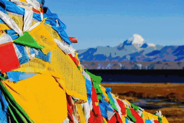 IMG0c54a505619e46869357585.gif