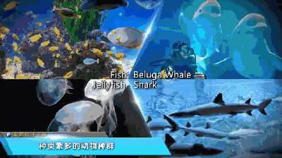 鱼湾,北欧风情的极地小镇,梦幻的冰雪王国,神奇的海底奇域,神秘的海洋