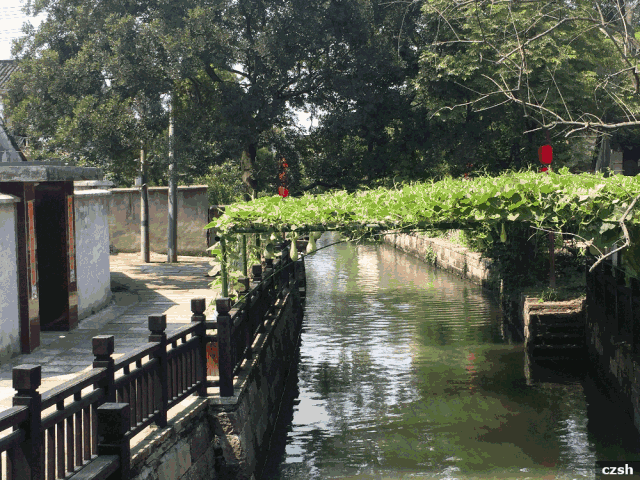 作为杭嘉湖平原上一个典型的江南水乡古村,这里真是把景区集传统民居