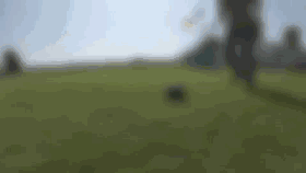 IMGf48e3894467148122333955.gif