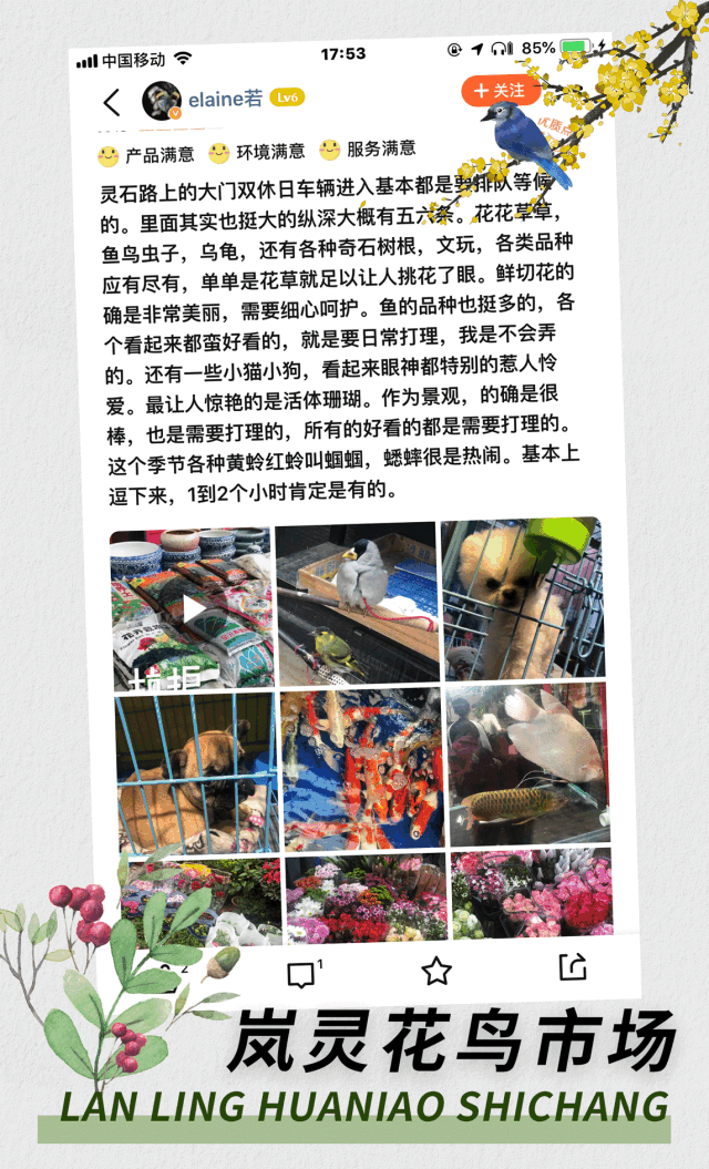 8000㎡!魔都特色集市No.来了,天仙级“巨大花海”,圈粉几代人!