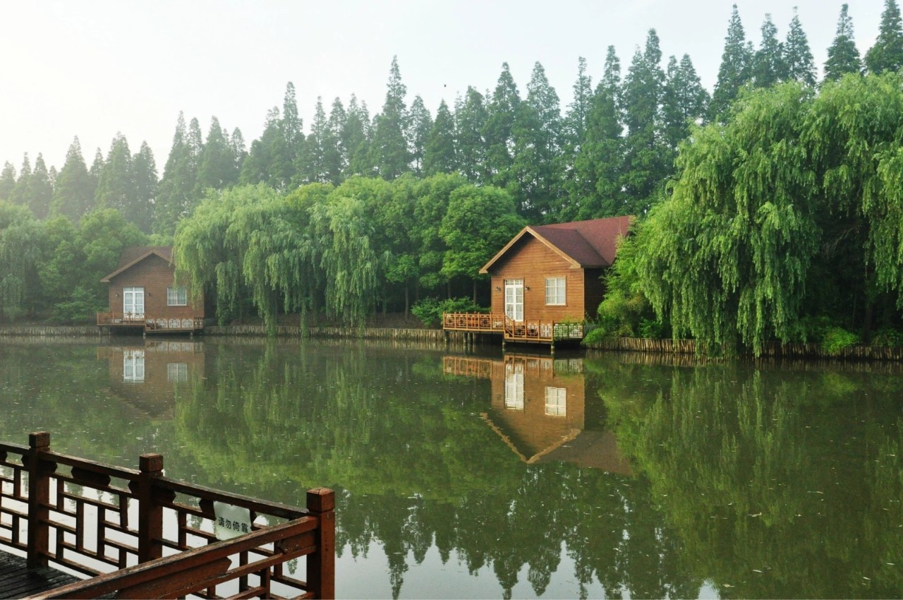 上海热线HOT新闻--崇明升级成世界级生态岛 最