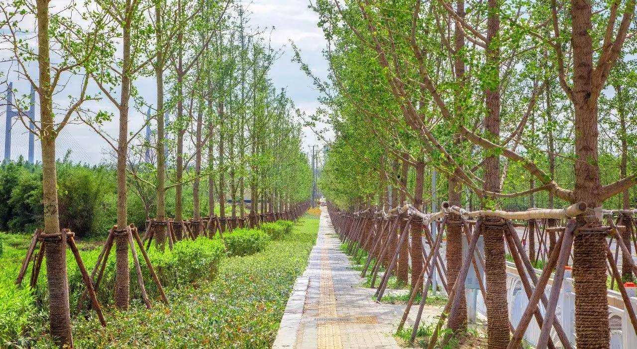 浦江郊野公园今起试运营，占地超11个世纪公园！