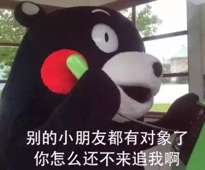 IMG001a6b536b6545328532962.jpeg