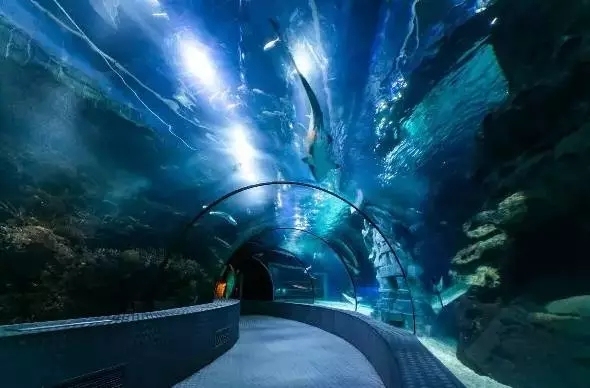 上海热线HOT新闻--“换乘大王”15号线又有新动作啦!普陀段风景美到爆~