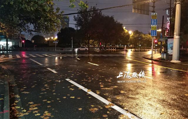 雨天又遇寒风夜 魔都街头终落叶 最美深秋时节即将到来