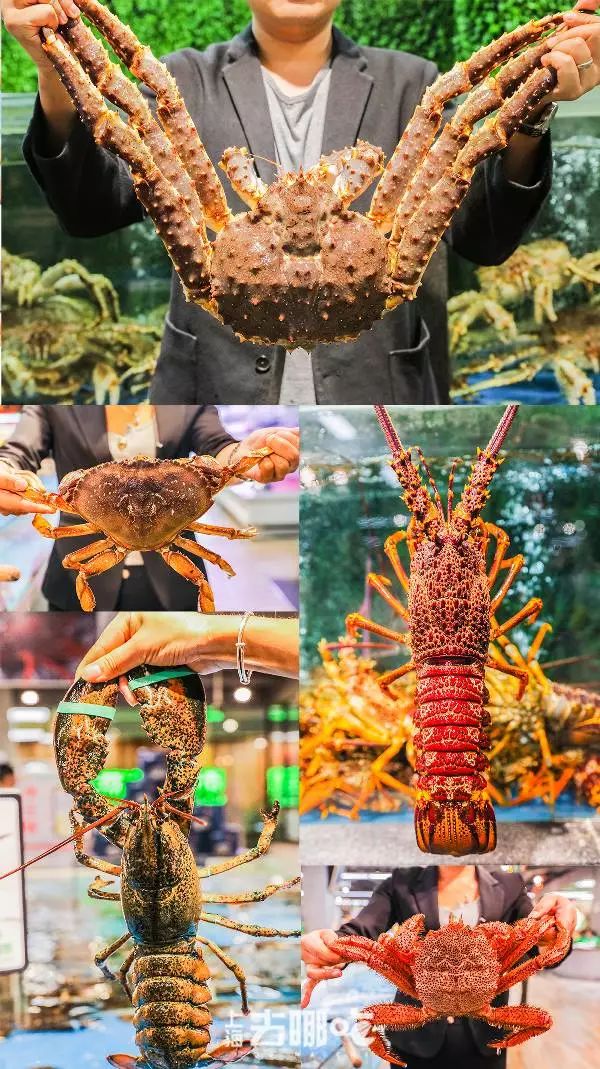 如何杀龙虾教程 IMG001a6b536b6546434684342.jpeg