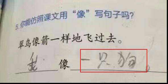 新出炉小学生奇葩作业,都是一群嫌老师寿命太