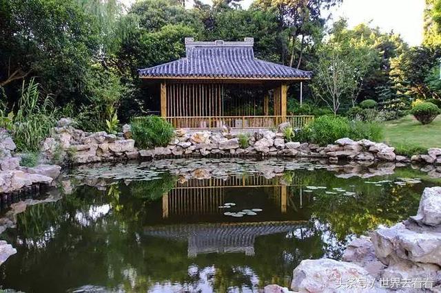 闹中取静!这个上海黄浦江上高颜值的内陆小岛,蒋介石都居住过!