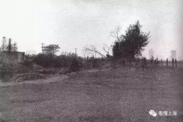 IMG0c54a505619e47575955475.jpeg