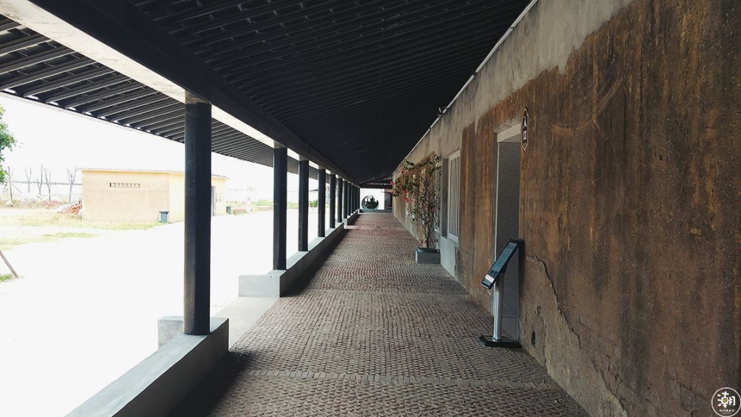 上海动车直达!这座海岛文艺不输垦丁,性价比秒