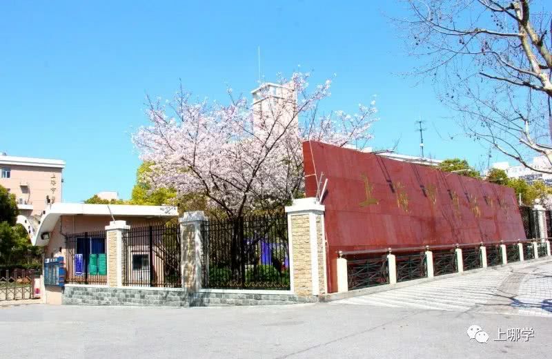 个区或将是全市v全市最强区!赶超徐汇、杨浦也南召高中图片