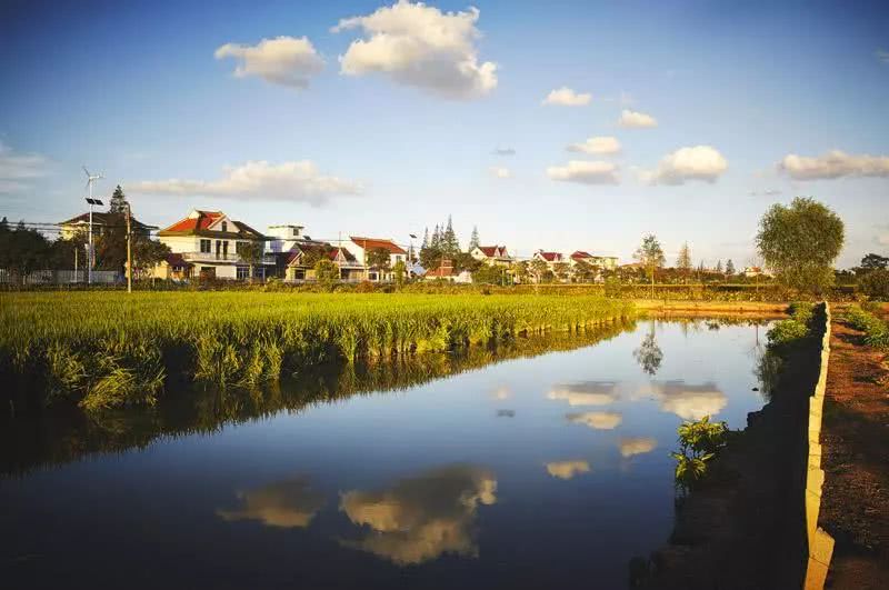通钢gdp_头条 临近过节 黑色低位震荡 钢市进入涨跌无力的状态(2)