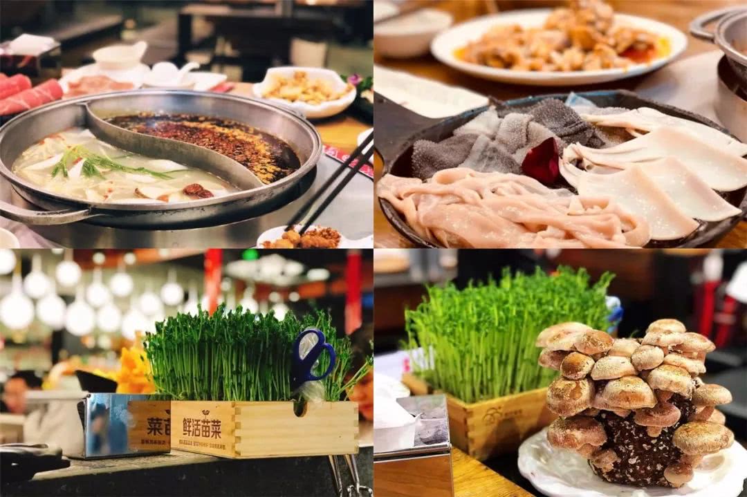 泰火锅人均_火锅卡通图片