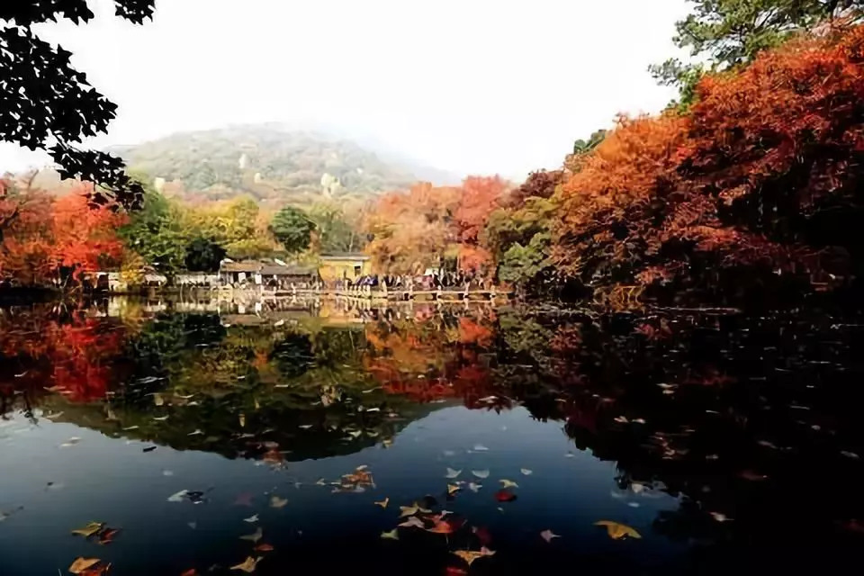 敲定!嘉定苏州无缝对接,嘉定人以后坐地铁就能