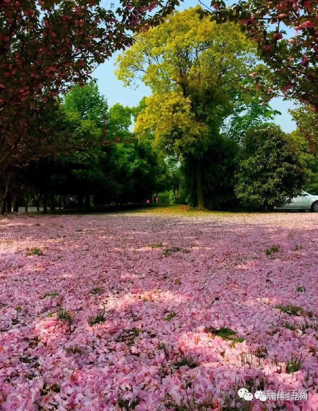 嘉定,一座会呼吸的城市!