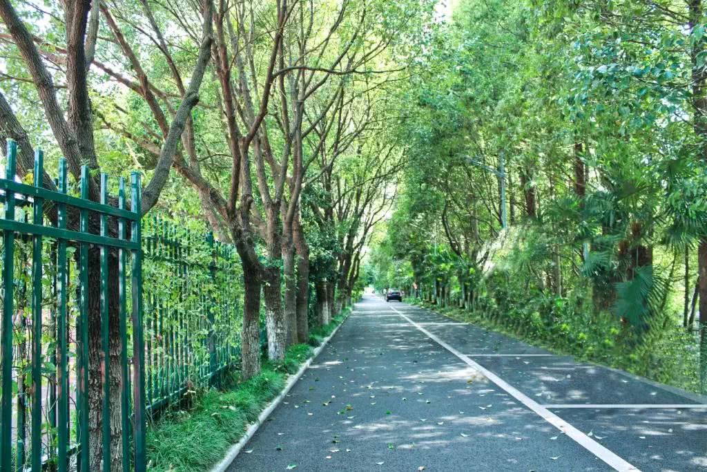 魔都高校“超有故事”的小路锦集,每一条都是满满的青春回忆杀!