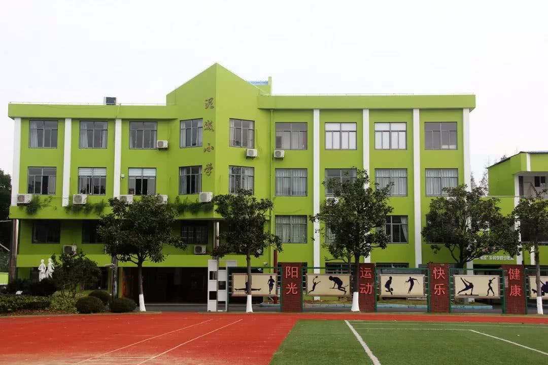 浦东又成立一个v学校学校,首批集团是这8所小学任嘉伦是成员图片