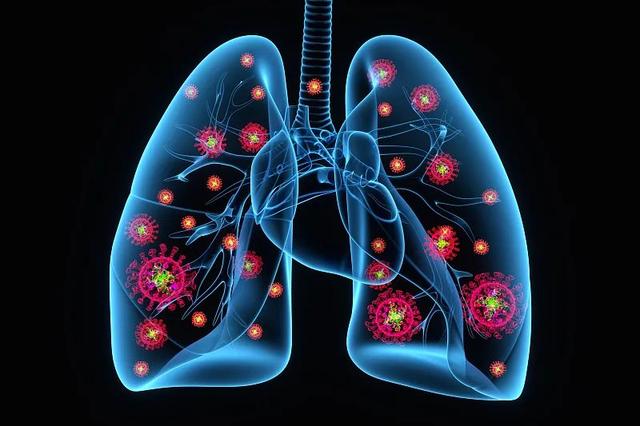 热点新闻   2020年因为疫情的原因,很多人都做过肺部ct,检测报告上