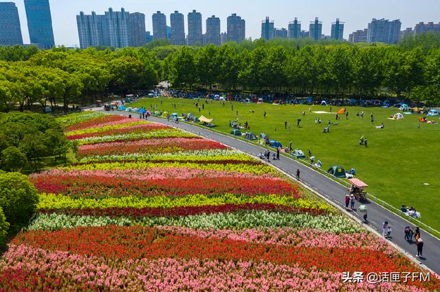 共青滨江世纪公园上海三大热门公园七一起免费上植大门免票也安排上了