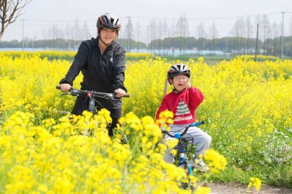 浩瀚体育春日宝藏骑行路线适合现在去！(图1)