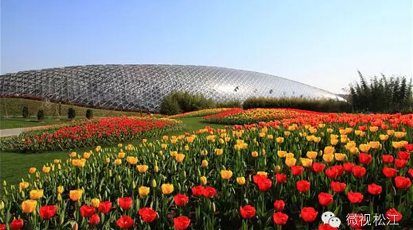 上海热线HOT新闻--妇女节女士辰山门票8折 影