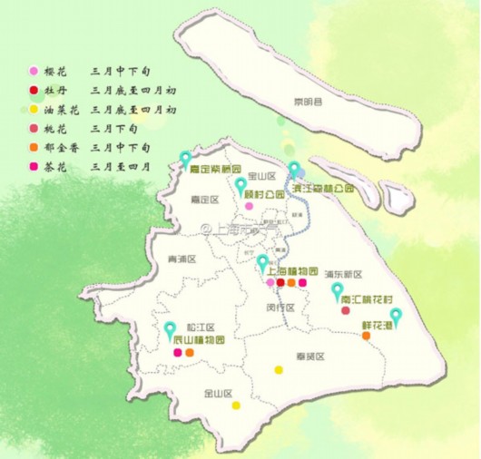 上海3月赏花地图正式出炉 推花期预报