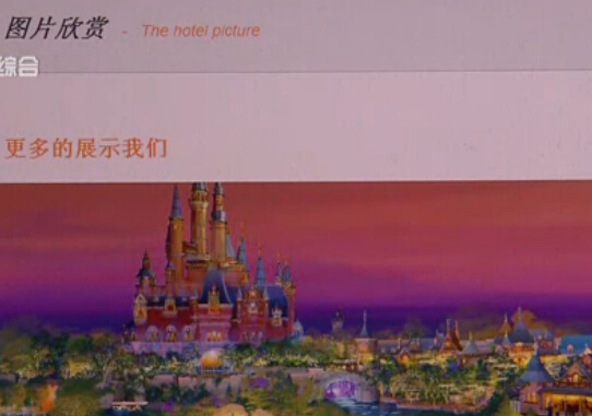 上海热线HOT新闻--山寨迪士尼酒店网站揽客 银