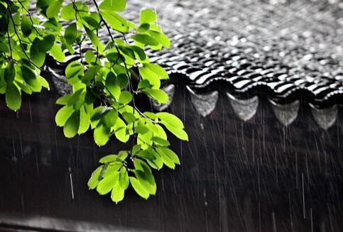上海热线HOT新闻--梅雨何时来沪悬而未决 下周