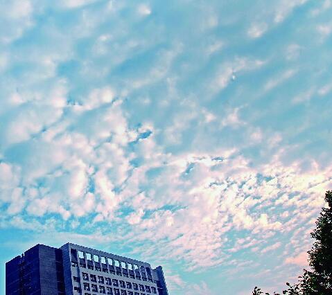 上海热线HOT新闻--告别高温 申城一夜降雨送凉