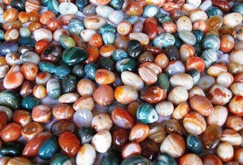 上海热线HOT新闻--上海破获特大文玩艺术品诈