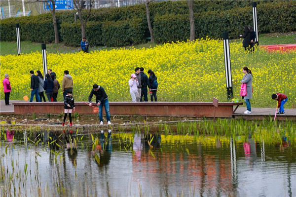 2017年3月25日,周六申城天气暖好,市民游客来到后滩湿地公园踏青游玩