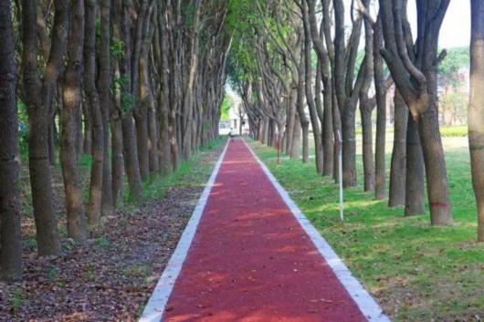 苏州河南岸将建10.5公里生态健身长廊，全区37条健身步道等你来！
