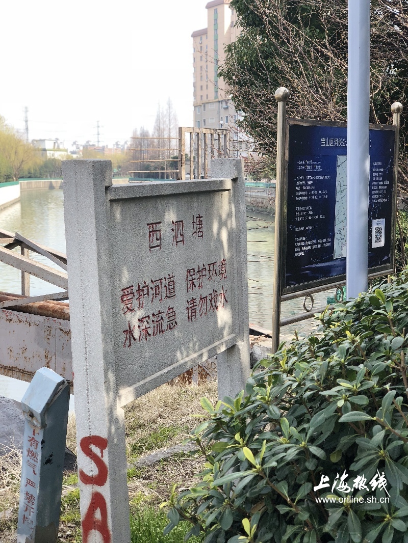 微拍上海:宋庆龄都爱逛的宝山一条街