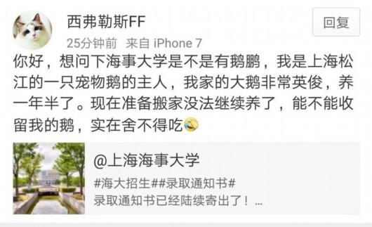 这只大白鹅 收到上海海事大学的录取通知书