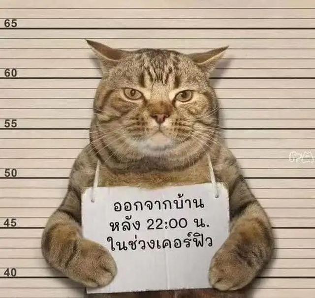 今天起,上海即将大变样!上海人就偷着乐吧