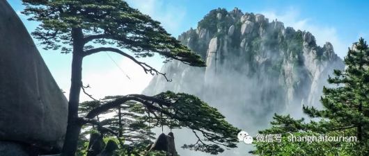 长假安排好了吗?从上海出发的高铁美景圈任你选