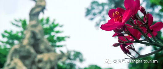 长假安排好了吗?从上海出发的高铁美景圈任你选