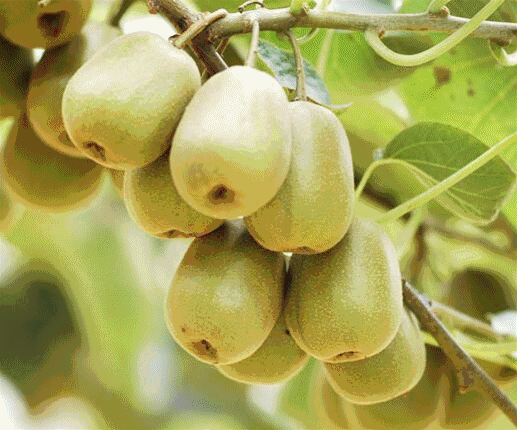 517_430gif 动态图 动图