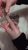 120_214gif 动态图 动图