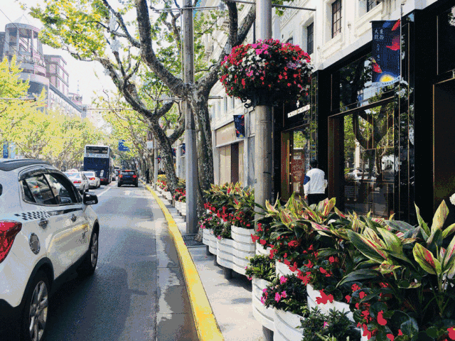 静安17条花街惊艳亮相!60万盆花给你一路好心情——上海热线hot频道