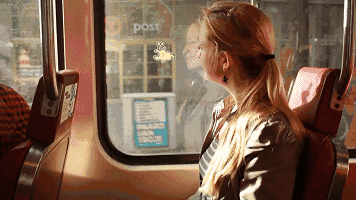 2元揽尽松江风华的最美公交线路!90%的上海宁都没坐过!