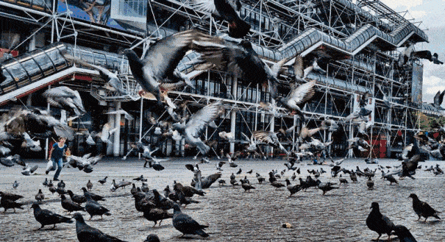 拥有世界第二大现代艺术收藏的