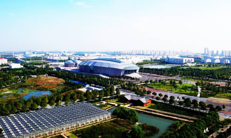 杨浦五角场广场发生了神马