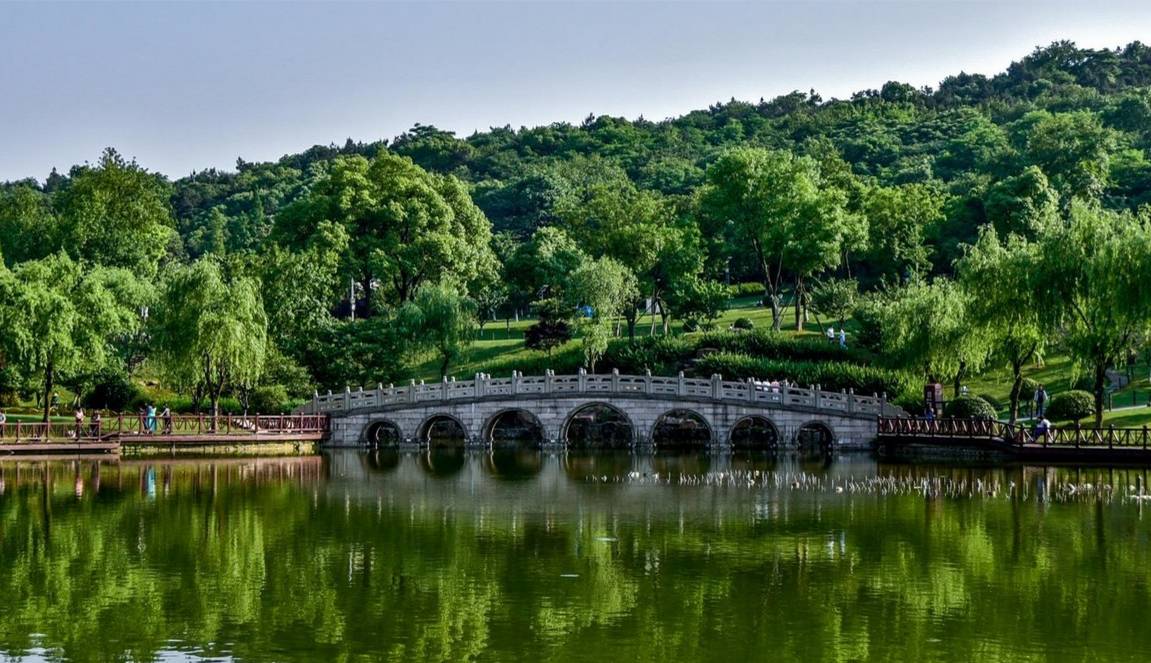 五一去哪玩?上海周边多个热门景点免费!打折!赶紧收藏