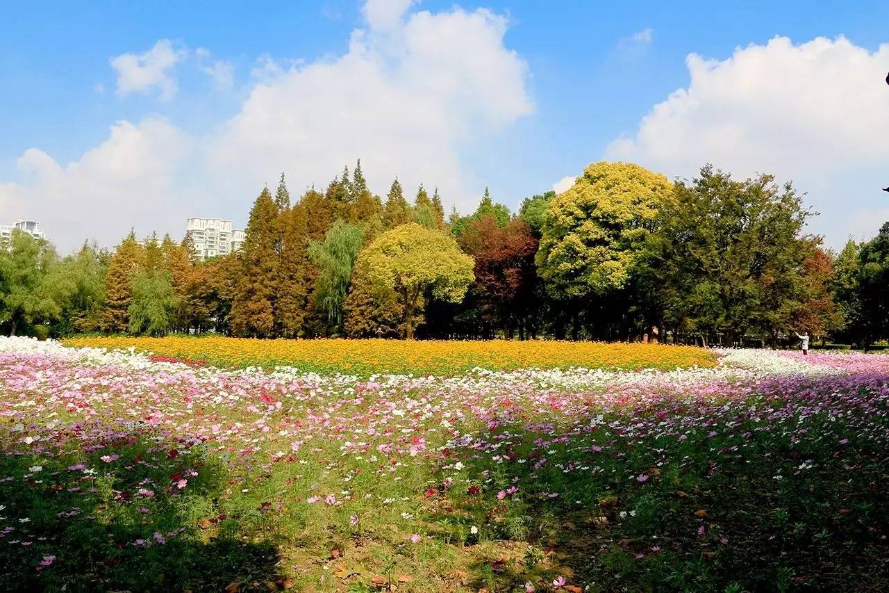 迎春路站 世紀公園 世紀公園是上海最大的富有自然特徵的