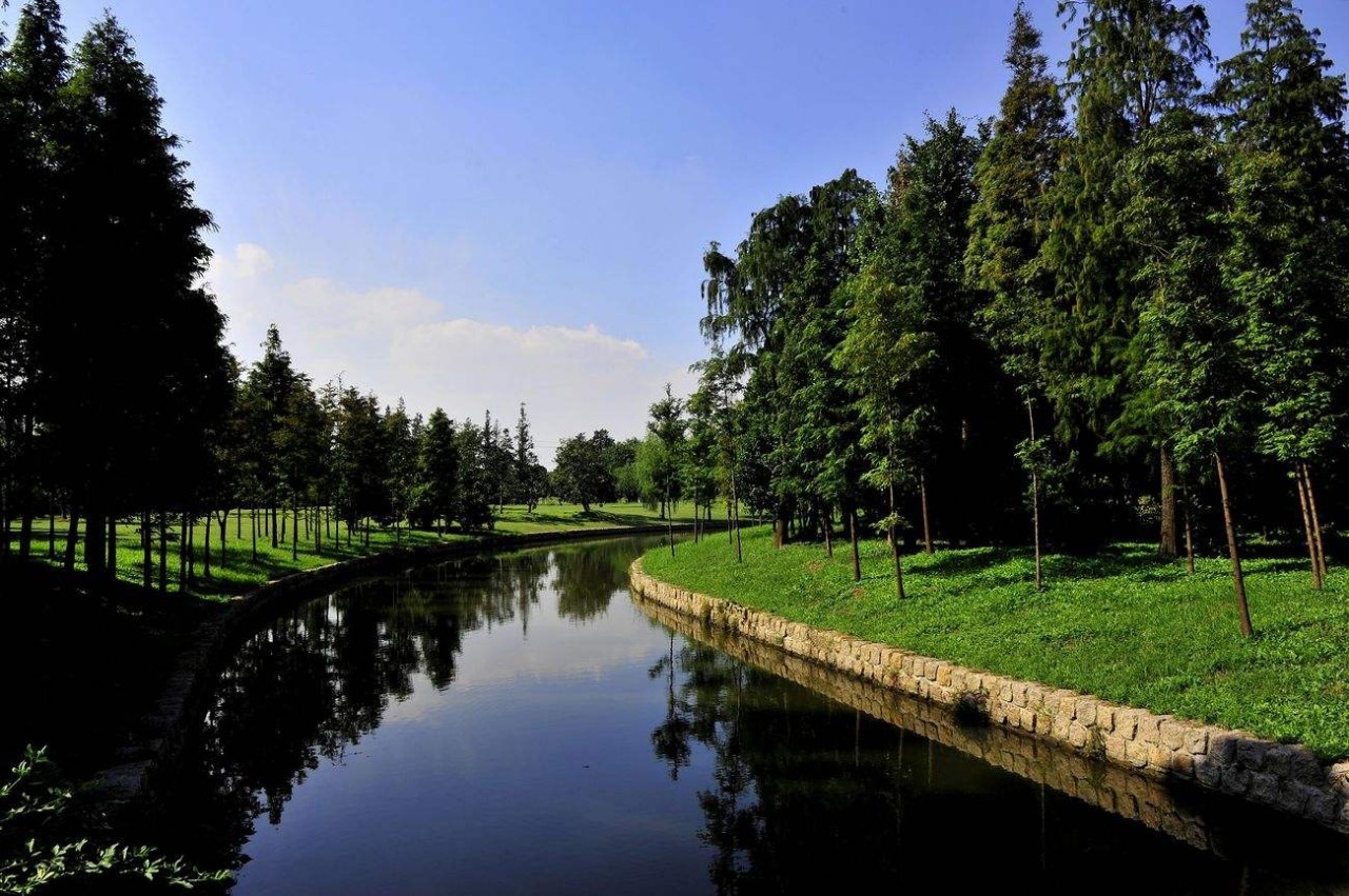 ▼滨海森林公园