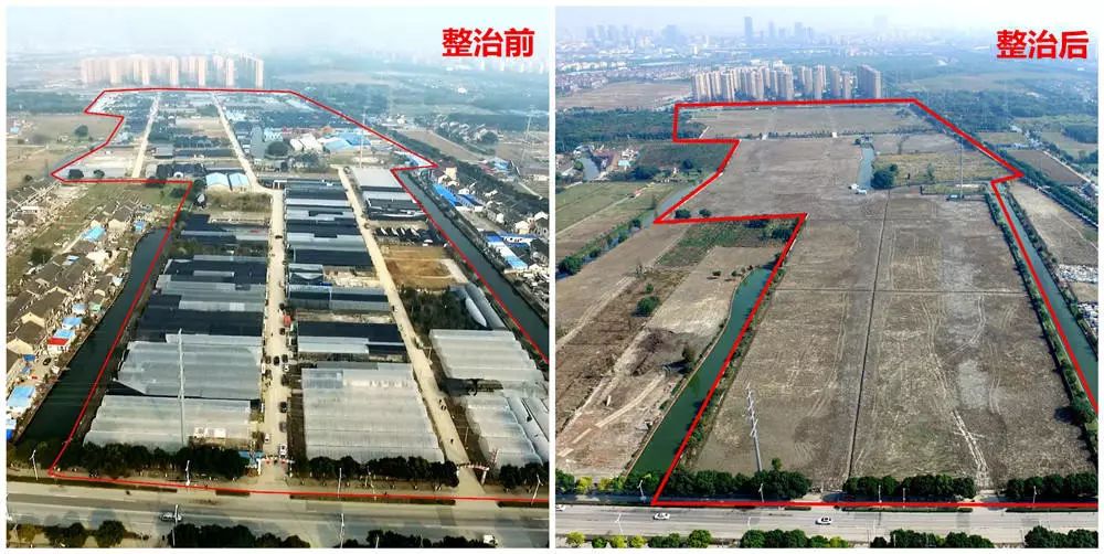 松江的未来蓝图看这条微信!区委书记谈交通规划,九亭发展