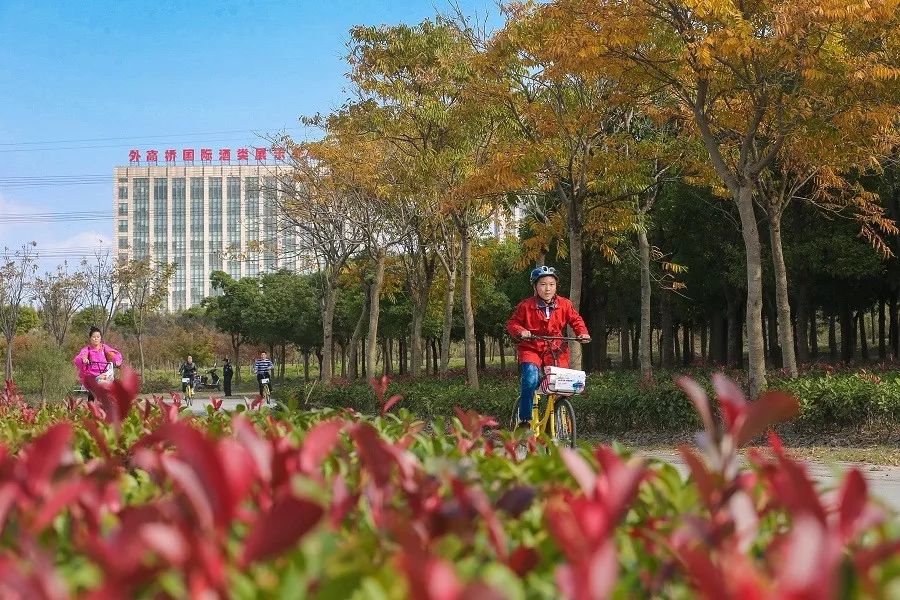 面积相当于三个共青森林公园森兰绿地3年后开放