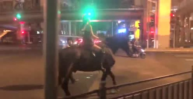 深夜延安路骑马遛弯,这位小姐,魔都市中心可没